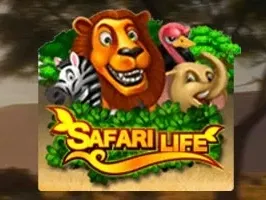 Safari Life
